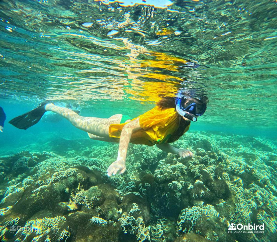 Onbird Phu Quoc Discovery Snorkeling