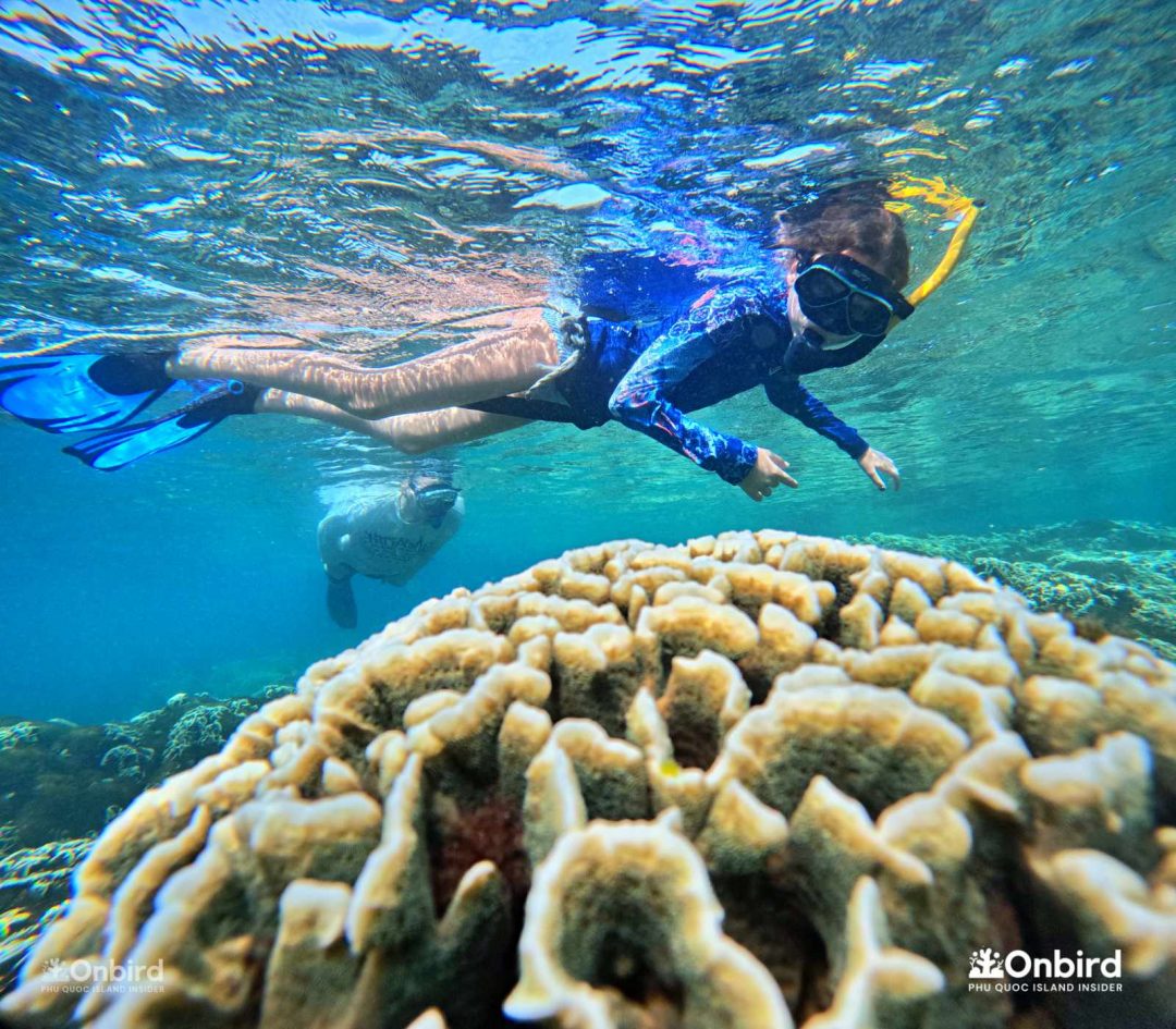 Dcim101goprogopr6452.jpg