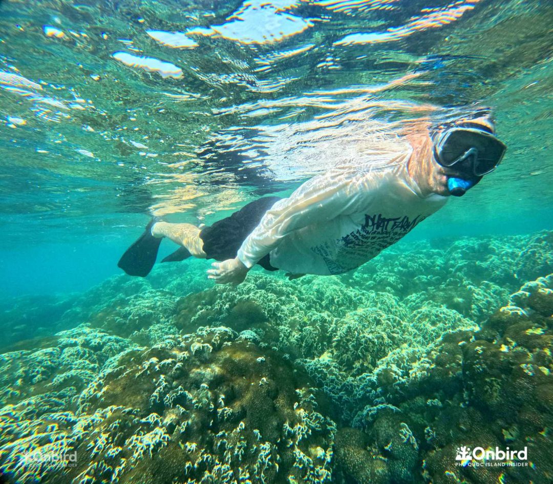 Onbird Phu Quoc Discovery Snorkeling