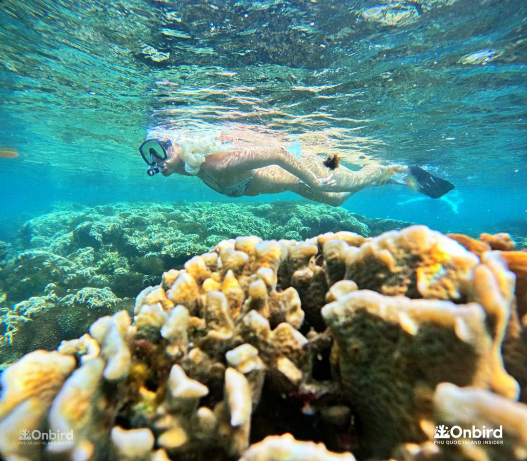 Dcim101goprogopr6469.jpg