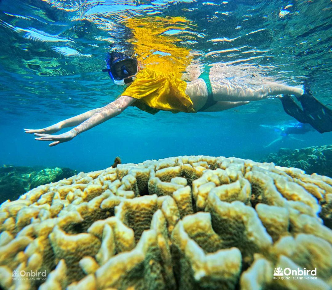 Onbird Phu Quoc Discovery Snorkeling.jpg