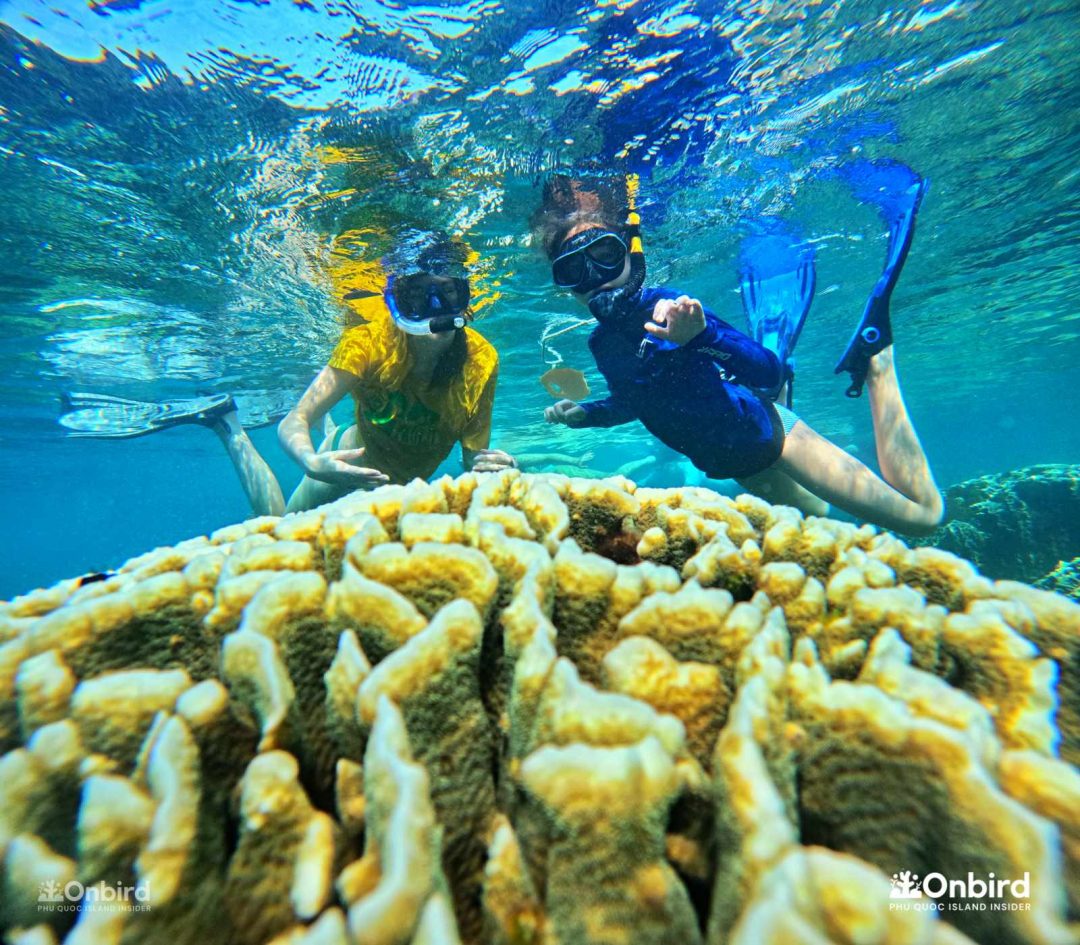 Dcim101goprogopr6478.jpg