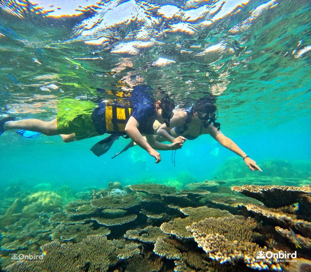 Dcim101goprogopr6516.jpg