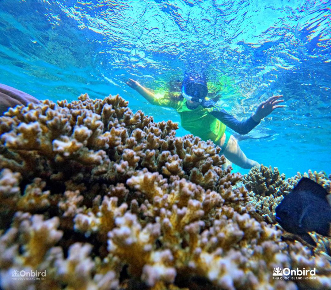 Dcim101goprogopr6527.jpg