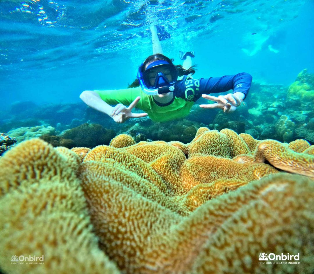 Discovery Snorkeling