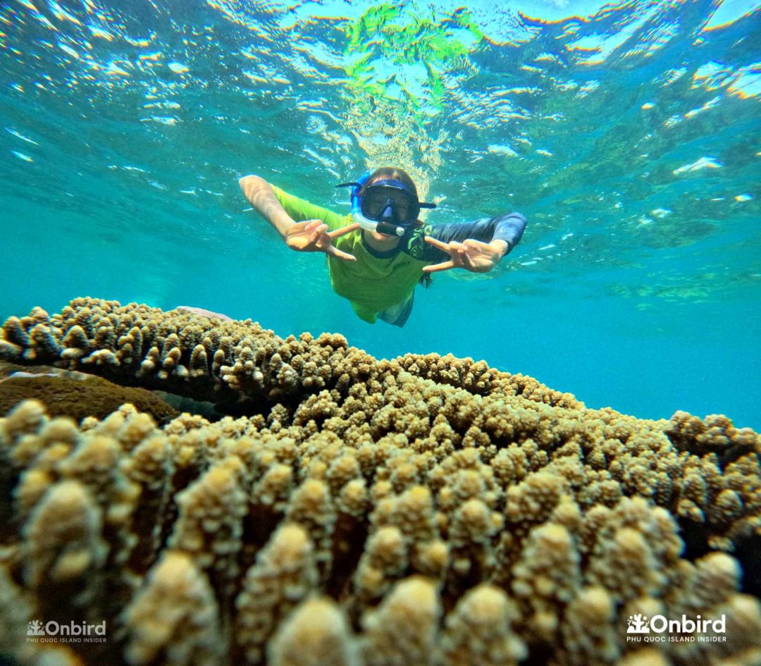 Dcim101goprogopr6532.jpg