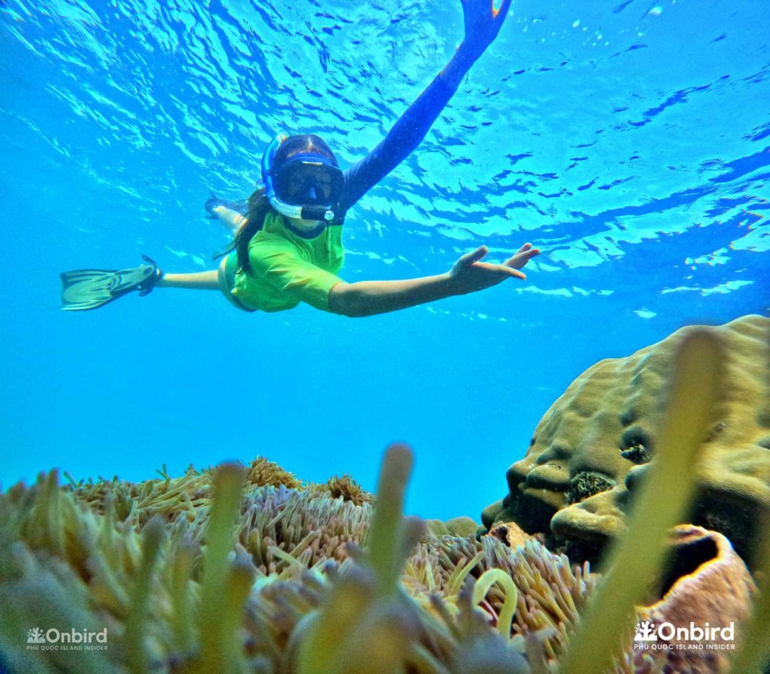 Onbird Phu Quoc Discovery Snorkeling