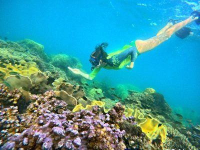 How important are coral reefs Phu Quoc snorkeling