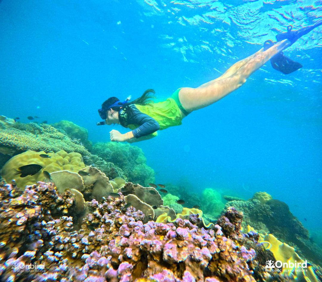 Dcim101goprogopr6548.jpg