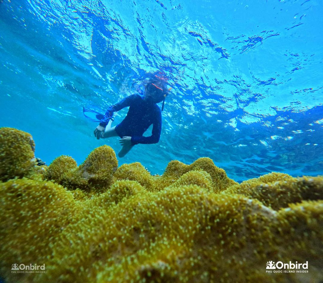 Dcim101goprogopr6559.jpg