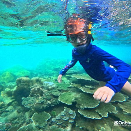 Dcim101goprogopr6561.jpg