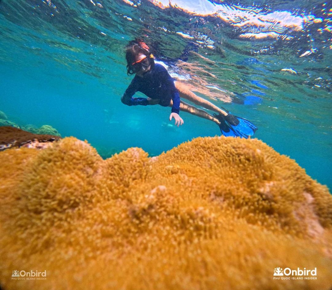 Dcim101goprogopr6563.jpg