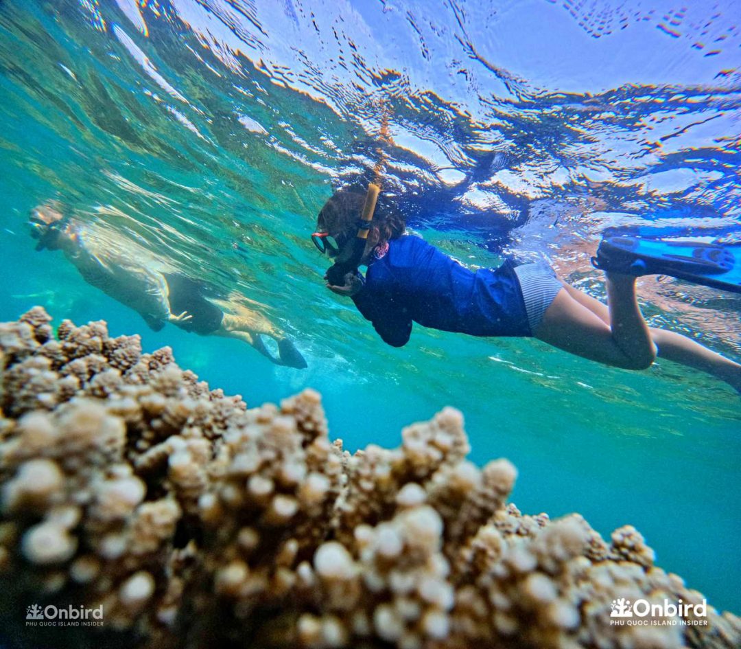 Dcim101goprogopr6564.jpg