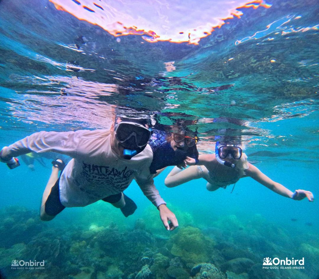 Dcim101goprogopr6572.jpg