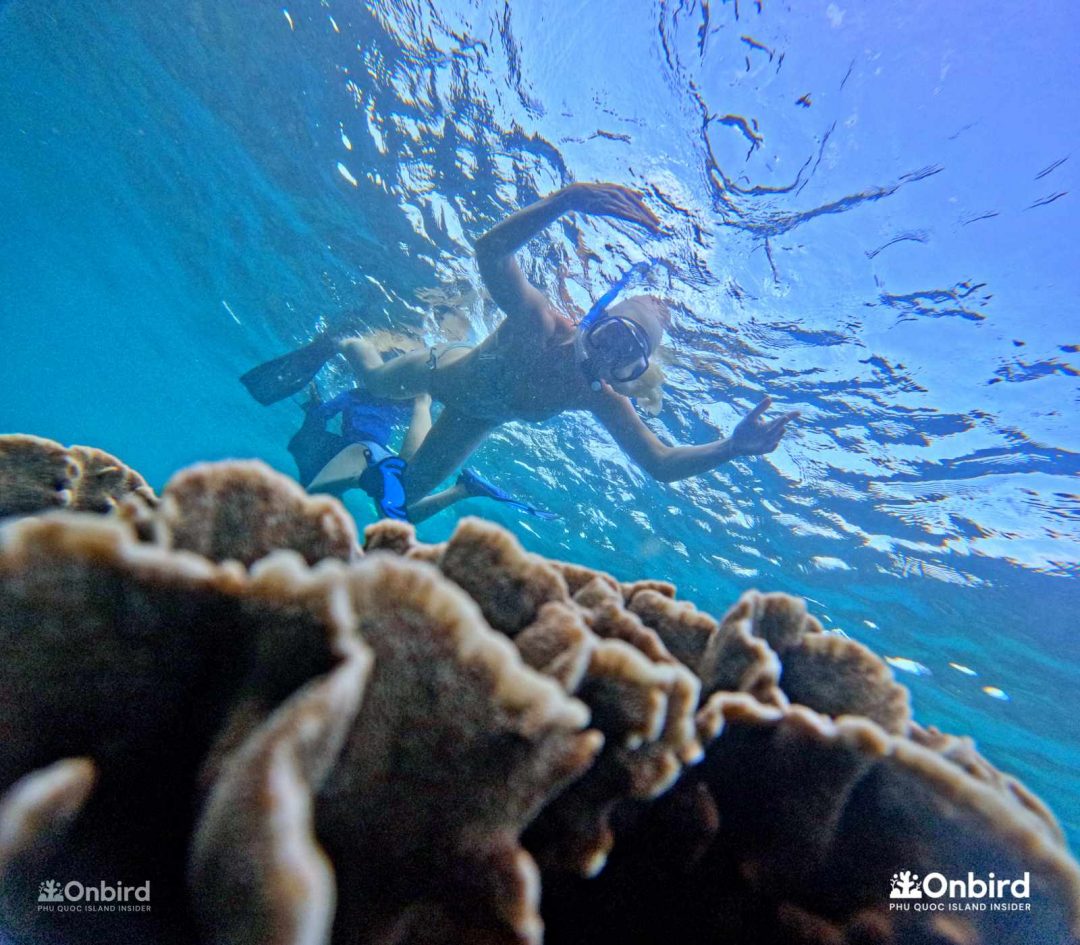 Dcim101goprogopr6575.jpg