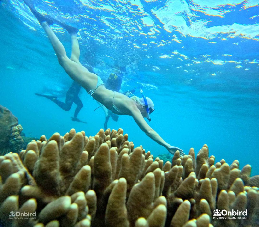 Dcim101goprogopr6577.jpg