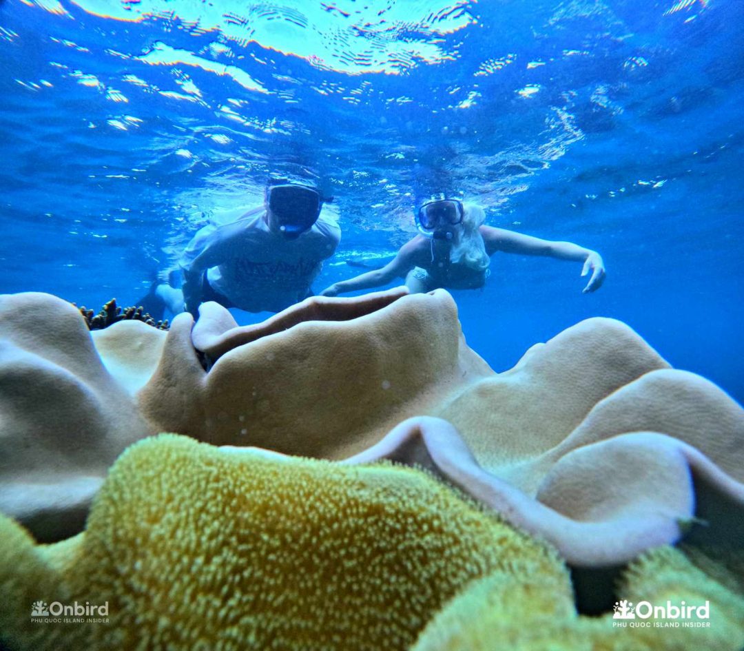 Dcim101goprogopr6593.jpg