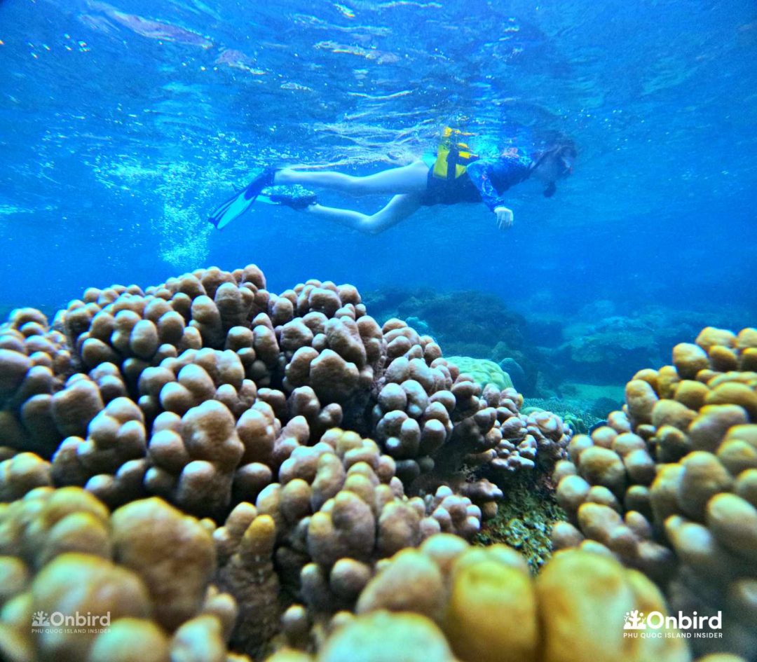 Dcim101goprogopr6597.jpg