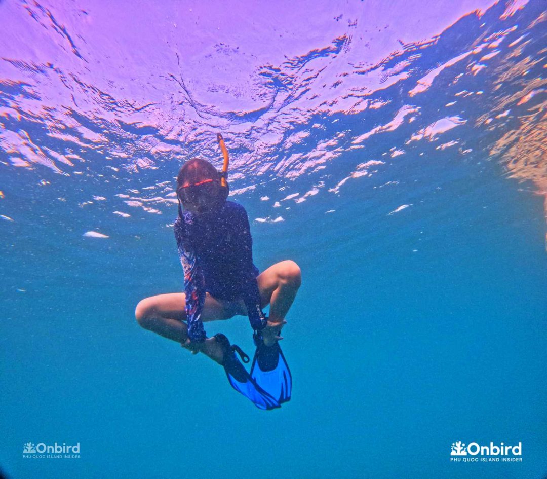 Dcim101goprogopr6610.jpg