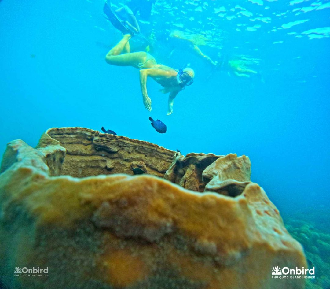 Dcim101goprogopr6613.jpg