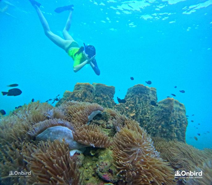 Private Snorkeling tour in Phu Quoc Island, Vietnam