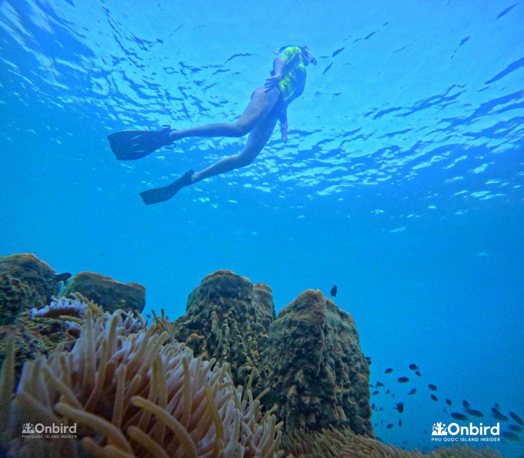 Dcim101goprogopr6620.jpg