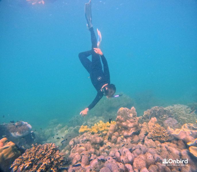 Incredible experience! Onbird had thought about every single detail to make us feel safe and to see the best spots, where coral reefs and small fish can be observed at the best time of the day.