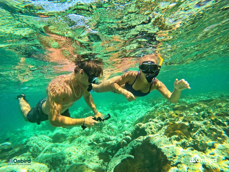 Wonderful Snorkeling Tour in Phu Quoc Island, Vietnam