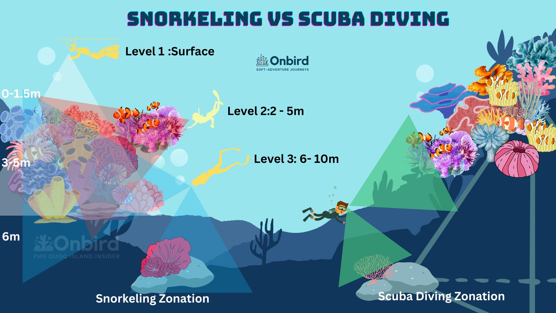 Scuba divers favor seabeds that are situated farther from the reef slope, where snorkelers typically encounter fewer corals.