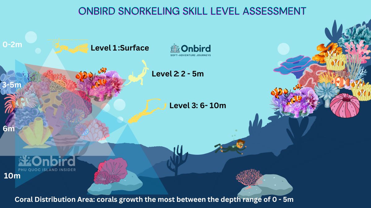 OnBird Snorkeling Skill Level Assessment