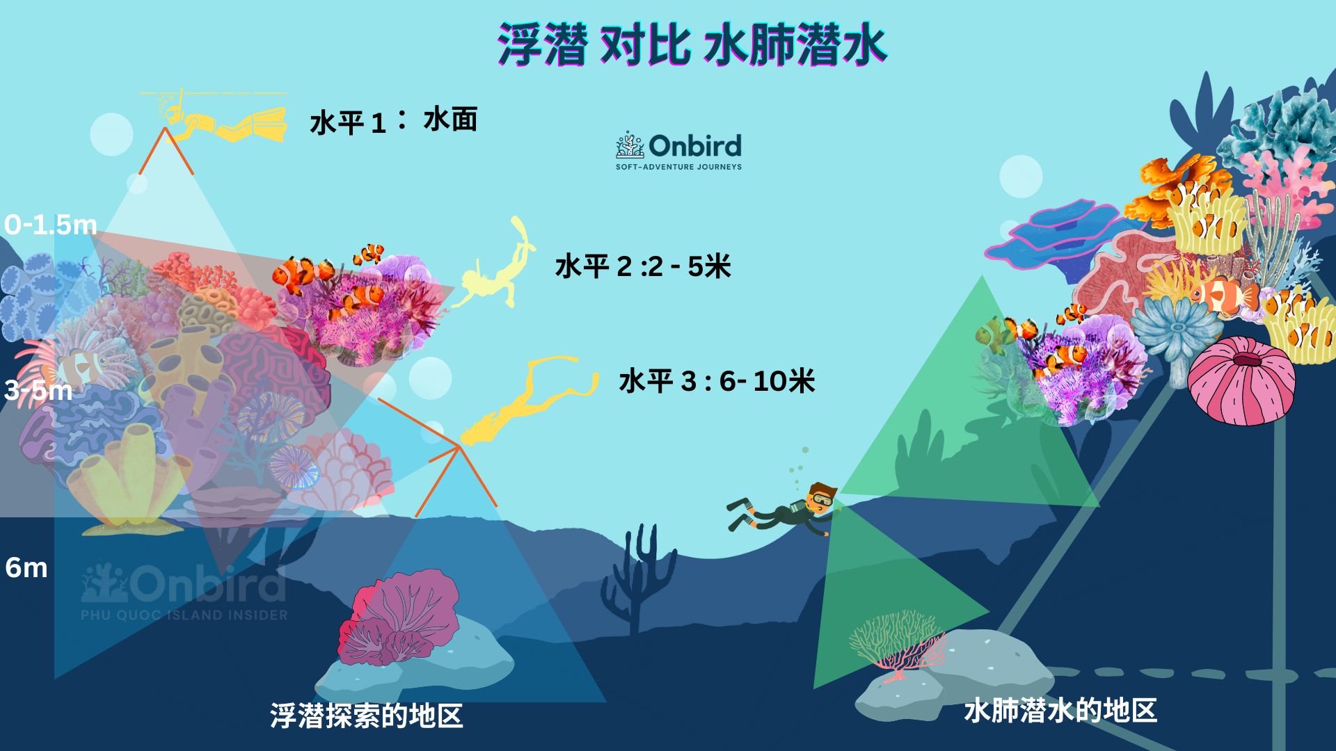 浮潜和水肺潜水的区别 - 富国岛专业探索性的浮潜