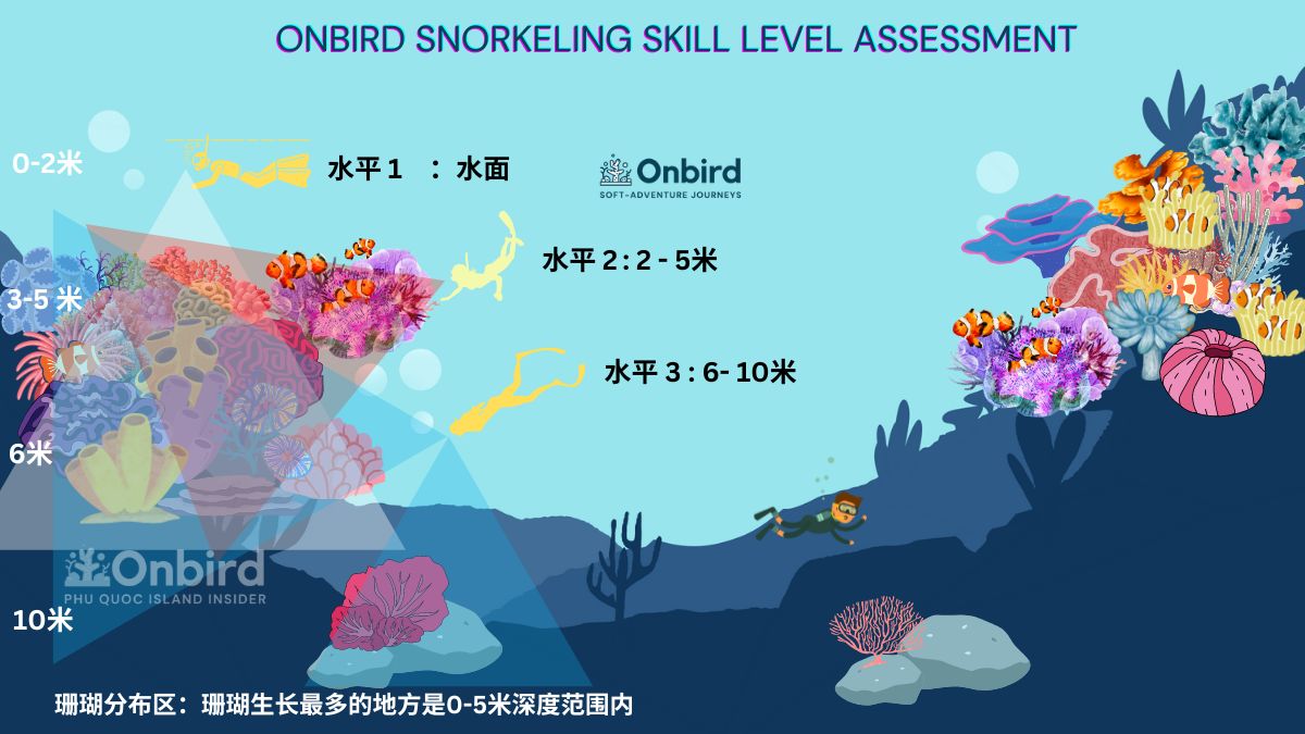 OnBird Snorkeling Skill Level Assessment in Chinese