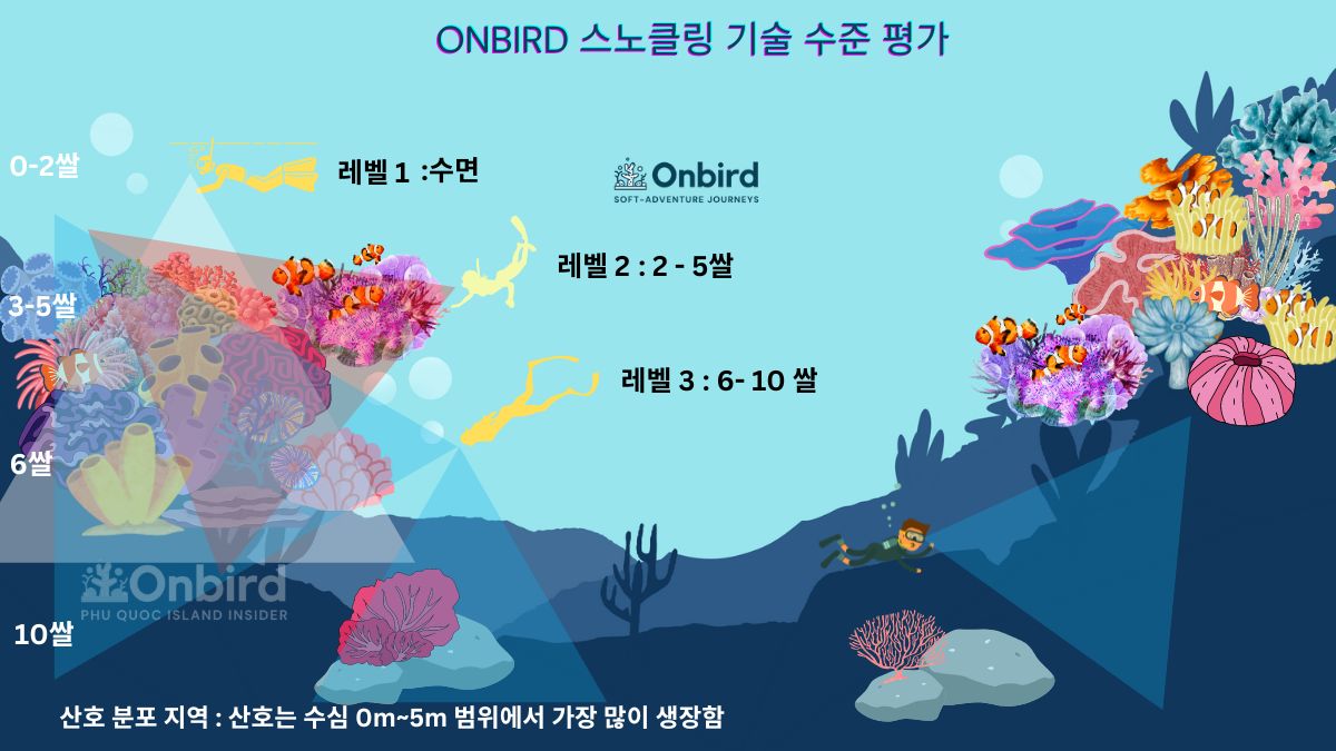 OnBird Snorkeling Skill Level Assessment in Korean