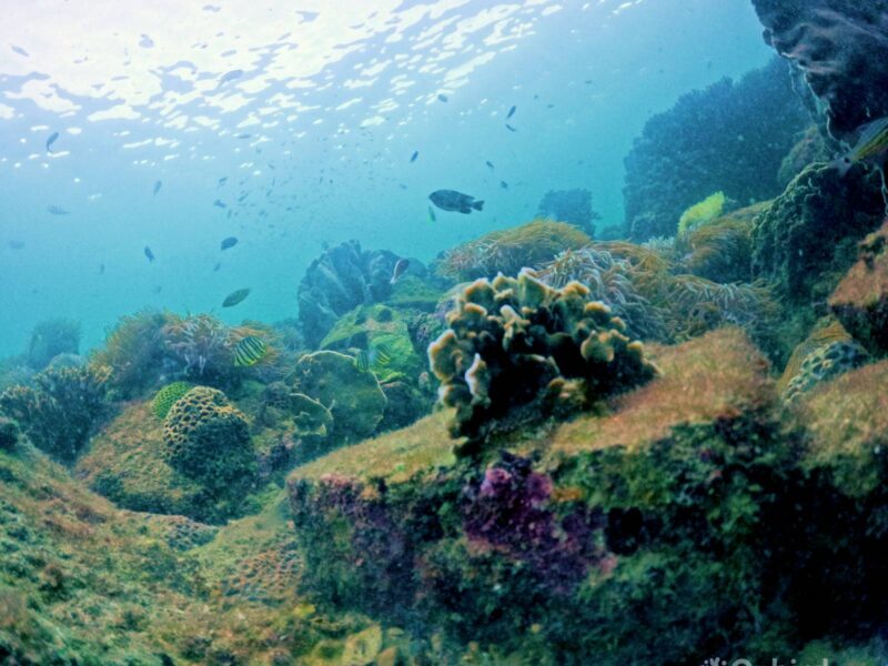 Dcim110goprogopr3280.jpg