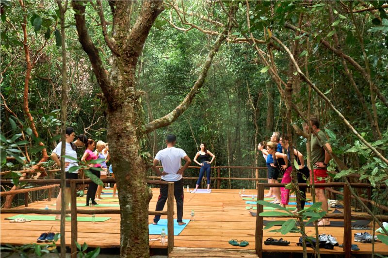 Yoga Trong Rung