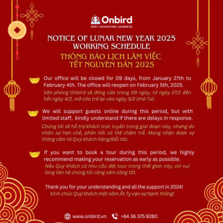 Tet Holiday Announcement Ob