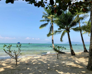 Chuồng Vic, Nguồn Peppercorn Beach Resort