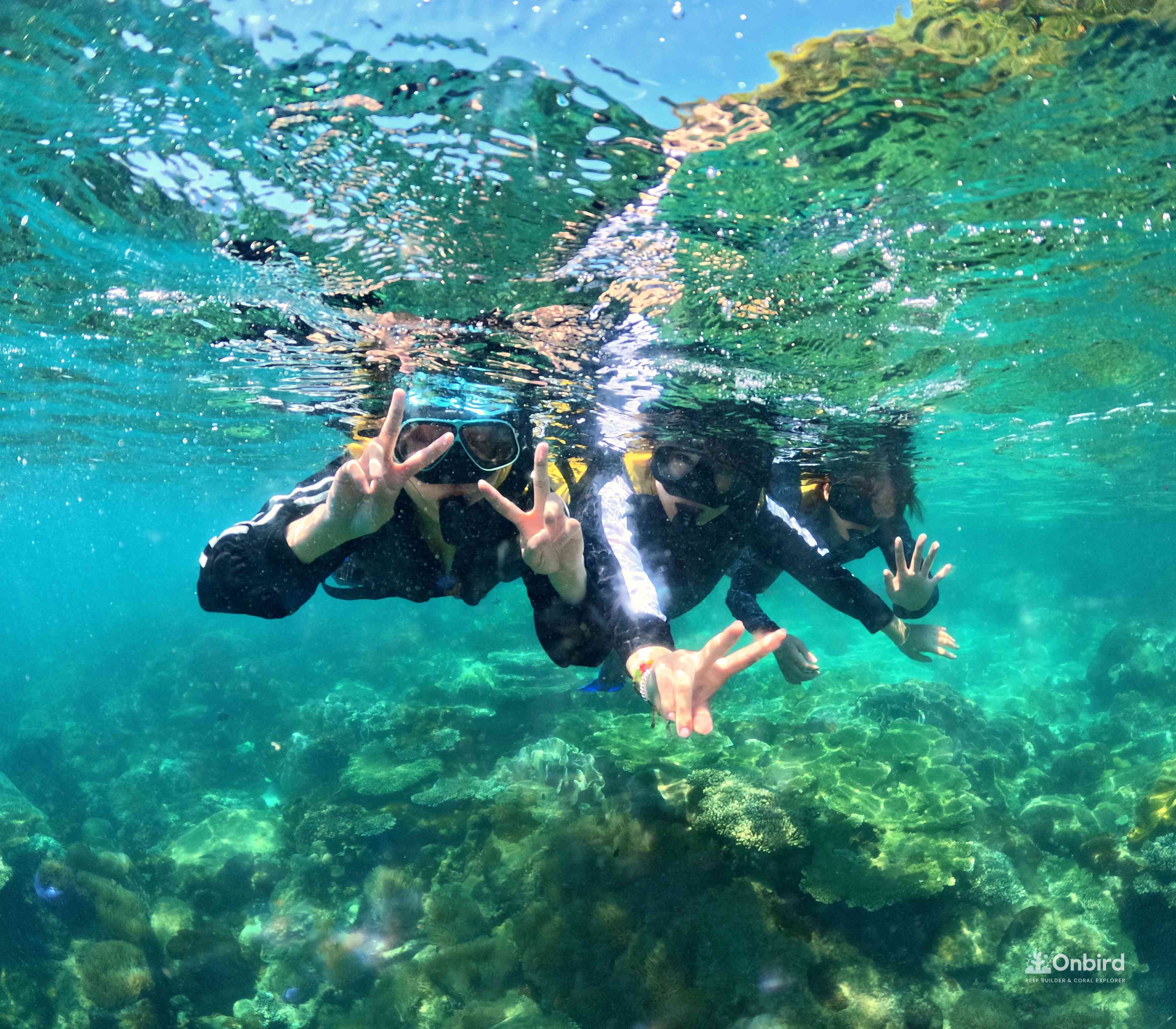 This snorkeling tour was an experience that perfectly fits the description, "definitely worth the money."