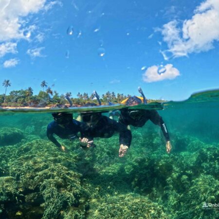 This snorkeling tour was an experience that perfectly fits the description, "definitely worth the money."