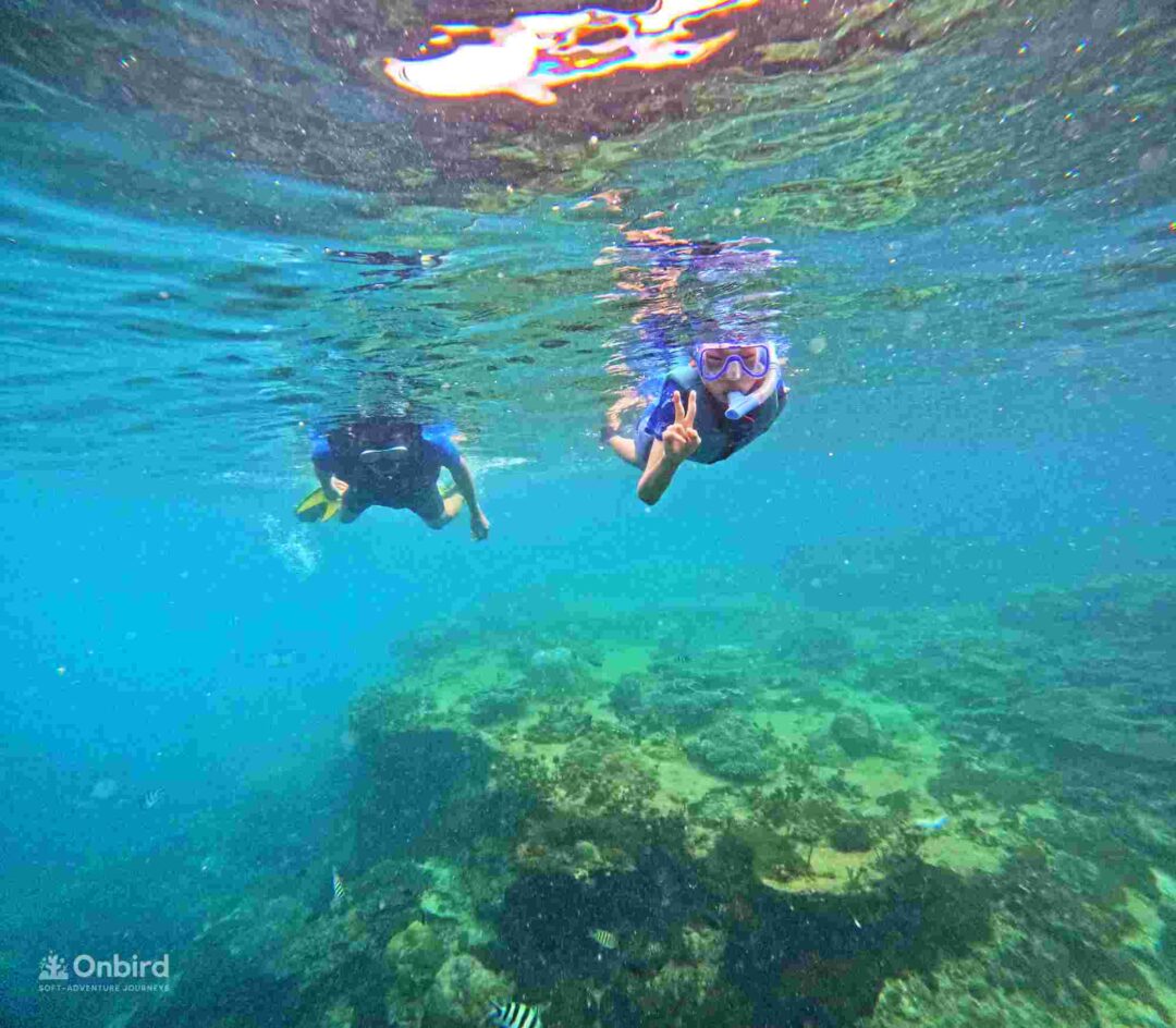 Dcim110goprogopr5415.jpg