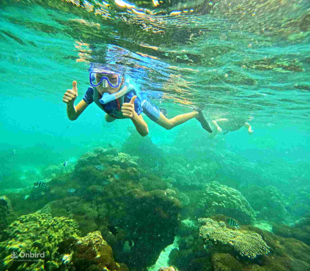 Dcim110goprogopr5437.jpg