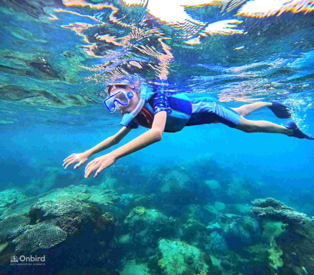 Dcim110goprogopr5506.jpg