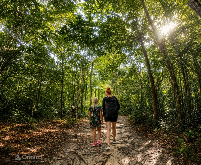 Ob Hiking Suoi Tien (4)