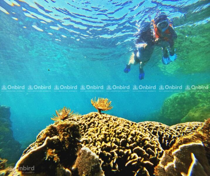 A mother and child are snorkeling over a coral reef, illustrating the quality of the snorkeling experience rather than just the number of destinations.