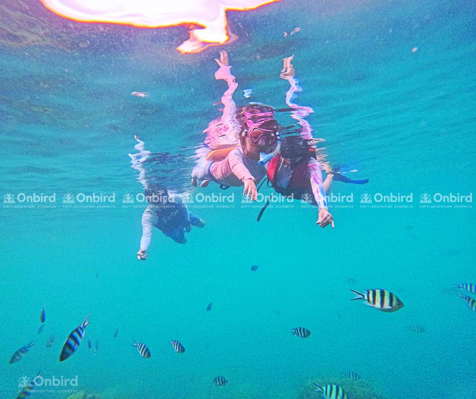 Hai mẹ con đang lặn ống thở trong làn nước trong vắt, minh họa cho chương trình linh hoạt của OnBird, dễ dàng kết hợp với các hoạt động khác trong ngày.