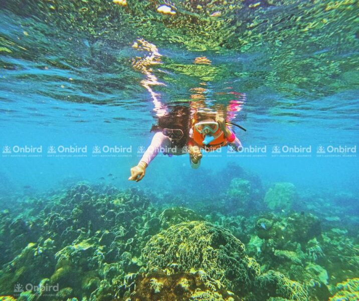 A mother snorkeling with her daughter, both exploring a coral reef, illustrating a safe and intimate family experience with direct supervision.