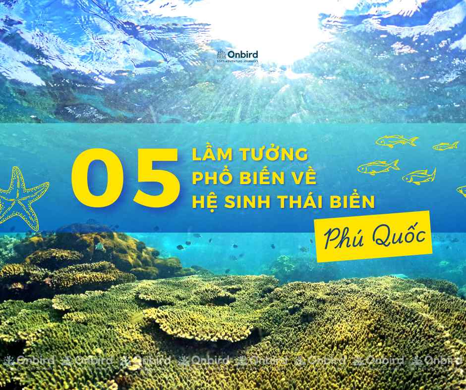 05 lầm tưởng phổ biến về hệ sinh thái Phú Quốc