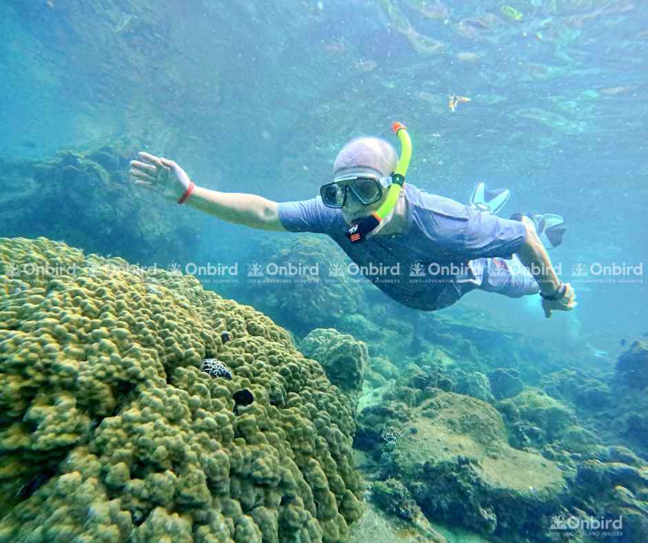 Một người đàn ông đang lặn ống thở giữa các cụm san hô màu vàng.
