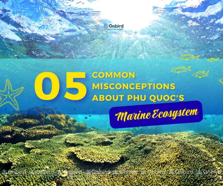 05 common misconceptions about Phu Quoc's Marine Ecosystem