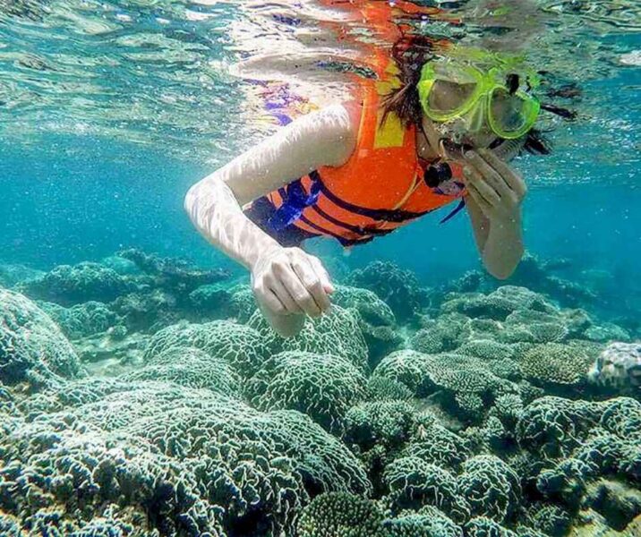 Lặn ống thở ngắm san hô tại Cù Lao Chàm (Nguồn ảnh: Sunbay Homestay, ảnh sưu tầm)